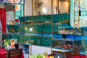 Φωτογραφία από το άλμπουμ του Thao Minh New Star Hotel σε Cat Ba