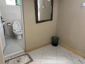 a bathroom with a toilet and a mirror at Ziwani House in Mwanza +6 photos