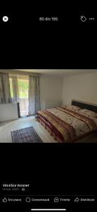 a picture of a bedroom with a bed and a window at Vila Eliza Voronet in Voronet