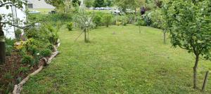 a garden with trees and plants in the grass at Apartment Helga in Neulengbach