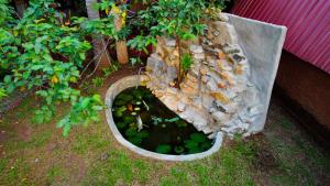 Κήπος έξω από το Nature Rest Ashored