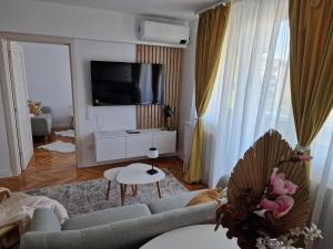 a living room with a couch and a tv at Central 17 in Târgu-Mureş
