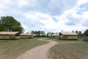 WolphaartsdijkGlamping De Zuidvliet Nr 9的田野里有一组帐篷，旁边有一条土路 更多8张照片