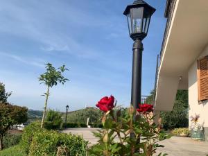a black lamp post with a red rose in a bush at HouseMi in Magliano di Tenna