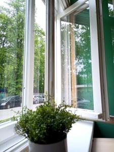 a window with a potted plant on a window sill at Cozy 1-bedroom apartment with free parking in Rīga