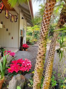 un palmier devant une maison fleurie dans l'établissement The Alala at Stained Glass Cottages, à Volcano