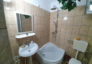 Et badeværelse på Casa de vacanță Ana și Ștefan + 12 billeder