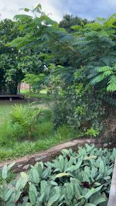 Zahrada ubytování Twenty ritz