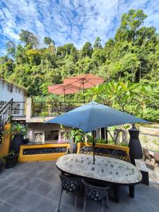 Rõdu või terrass majutusasutuses Jungle Inn Bukit lawang