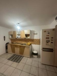 a kitchen with a white refrigerator and a sink at Casa/camere Maria in Corbu