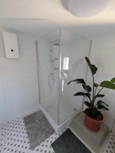 a bathroom with a shower with a potted plant at Haus Haiderbach Nähe A3 in Wittgert