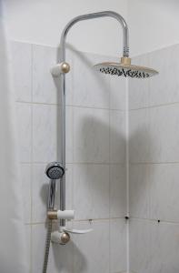 a shower with a shower head in a bathroom at Schöne Wohnung mit Parkplatz im Zentrum von Linz in Linz
