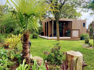 une maison avec un palmier dans un jardin dans l'établissement le petit gîte de mag, à Plouha