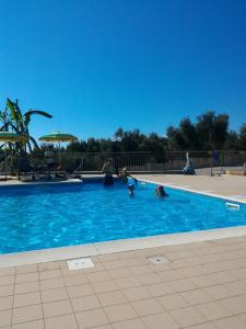 Πισίνα στο ή κοντά στο Ibisco Hotel