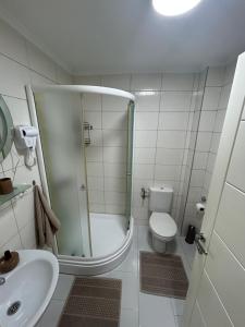 a bathroom with a shower and a toilet and a sink at Aura Apartment in Berane