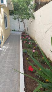Gallery image of Apartment Dolphins in Plomarion