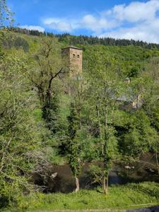 Příroda nedaleko prázdninového domu + 11 fotografií