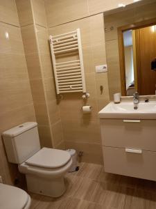a bathroom with a toilet and a sink and a mirror at Apartamento turístico Aguere in Ribadesella +41 photos