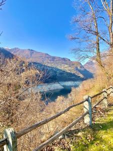 Priroda u blizini vikendice