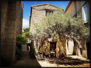 an old stone building with a tree in front of it at B&B Vigne Vierge in Aigne