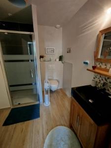 a bathroom with a walk in shower and a toilet at Sentier des falaises in Veulettes-sur-Mer +27 photos
