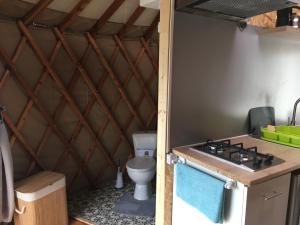 PlanchezLa yourte au pré du réu的房间里有水槽和马桶的浴室