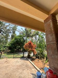 Κήπος έξω από το Grevillea retreat