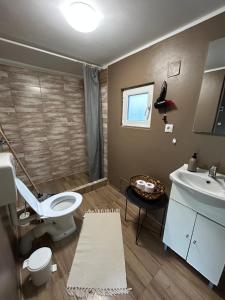 a bathroom with a toilet and a sink at Cabanute Luca Ama Bran in Bran +27 photos