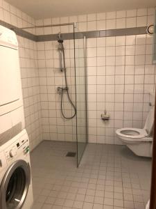 Koupelna v ubytování Guesthouse Centrum + 20 fotografií