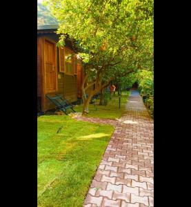 Billede fra billedgalleriet på Olympos Varuna Pansiyon i Olympos