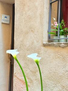 莫尔科泰Gritti Palace Morcote - Waterfront studio with panoramic lake views - Fiordaliso的相册照片