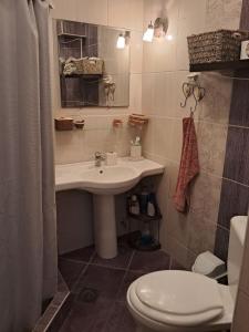 a bathroom with a sink and a toilet at Avocado Apartment in Ohrid
