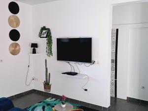 TV a/nebo společenská místnost v ubytování Hello Appart sur Rémire-Montjoly