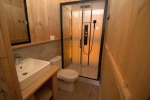 WolphaartsdijkGlamping De Zuidvliet Nr 18的带淋浴、马桶和水槽的浴室