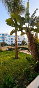 Zahrada ubytování Kabila vista n4 vue piscine + 37 fotografií