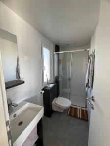 een badkamer met een wastafel, een toilet en een douche bij Mobile Enelia sun house in Sveti Petar +22 foto's