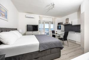 TV a/nebo společenská místnost v ubytování Studio Apartment Iva