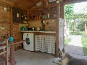 مطبخ أو مطبخ صغير في Tiny houses Genacvale