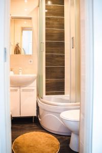 a bathroom with a toilet and a sink and a shower at Centrum Apartment in Valga