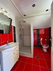 a red bathroom with a sink and a toilet at Family Flower House in Sarajevo +28 photos