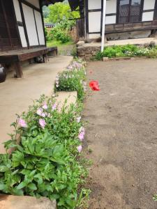 Gallery image of Hanok Soeun House in Miryang