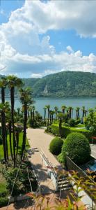 a view of a park with palm trees and a lake at Relax-Lugano Lake in Bissone