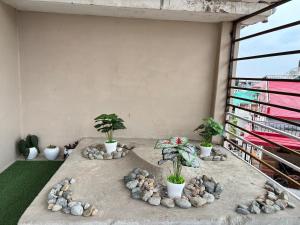 Fotografie z fotogalerie ubytování Homely Hideout v destinaci Palampur