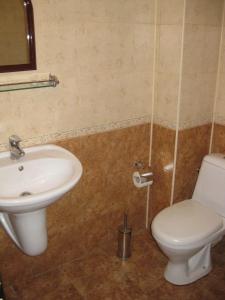 a bathroom with a sink and a toilet at Guesthouse Trite Kambani in Banya