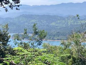 a view of a lake through the trees at Woodlands Homestay - Kandy in Teldeniya