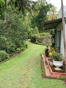 a house with a yard with grass and plants at Woodlands Homestay - Kandy in Teldeniya
