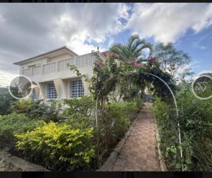 a walkway in front of a white house at Villa Zara in Zanzibar City