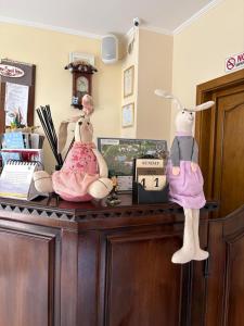 Fotografie z fotogalerie ubytování Casa Irlandeza - Irish House v destinaci Băile Felix