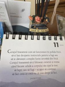 Fotografie z fotogalerie ubytování Casa Irlandeza - Irish House v destinaci Băile Felix