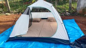 耶拉吉里Dr KGS Nature Stays and Camping Tents的相册照片 更多6张照片